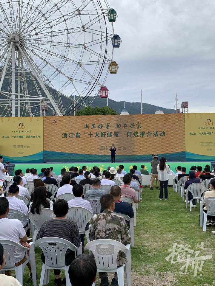 520是世界蜜蜂日,浙江"十大好蜂蜜"出炉,聊聊你爱吃
