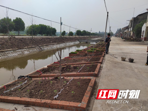 南县茅草街镇:美丽庭院解锁乡村颜值