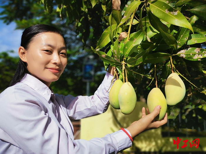 2023劳动创造幸福中企里的柬埔寨芒果女孩