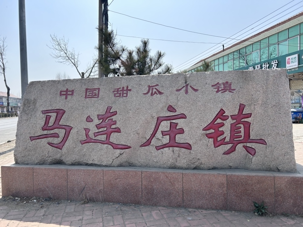 发现宝藏青岛打卡特色小镇红色小镇绿色崛起甜蜜事业马连庄甜瓜提前一