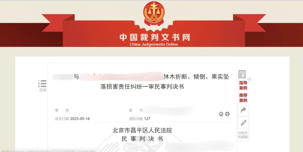 男子被树枝砸伤致死：林木公司称系大风导致，法院判公司赔偿家属134万刷爆头条-313啦实用网