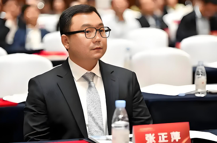 赛力斯张正源，辞去董事职务！_腾讯新闻