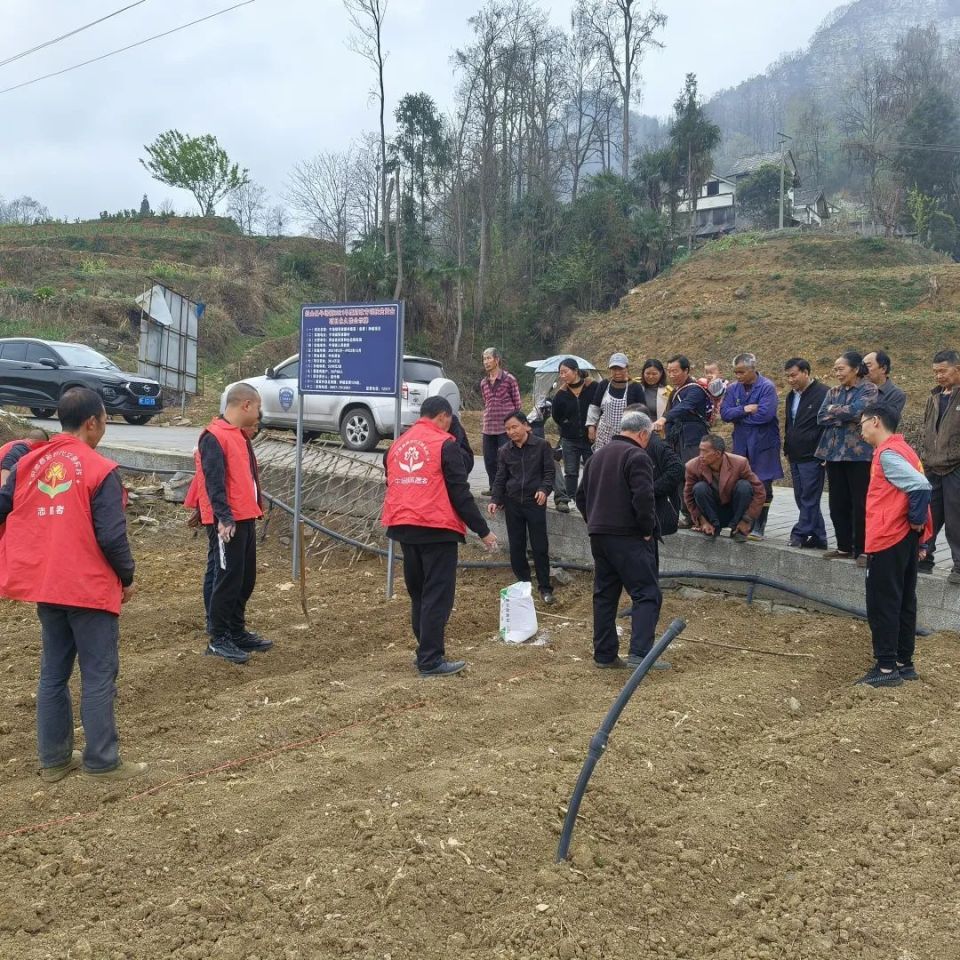 织金县牛场镇:春耕正当时 多措并举护航_腾讯新闻