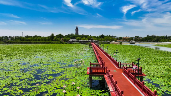 准考证别丢!山东16市景区对中高考生推出门票减免,优惠福利
