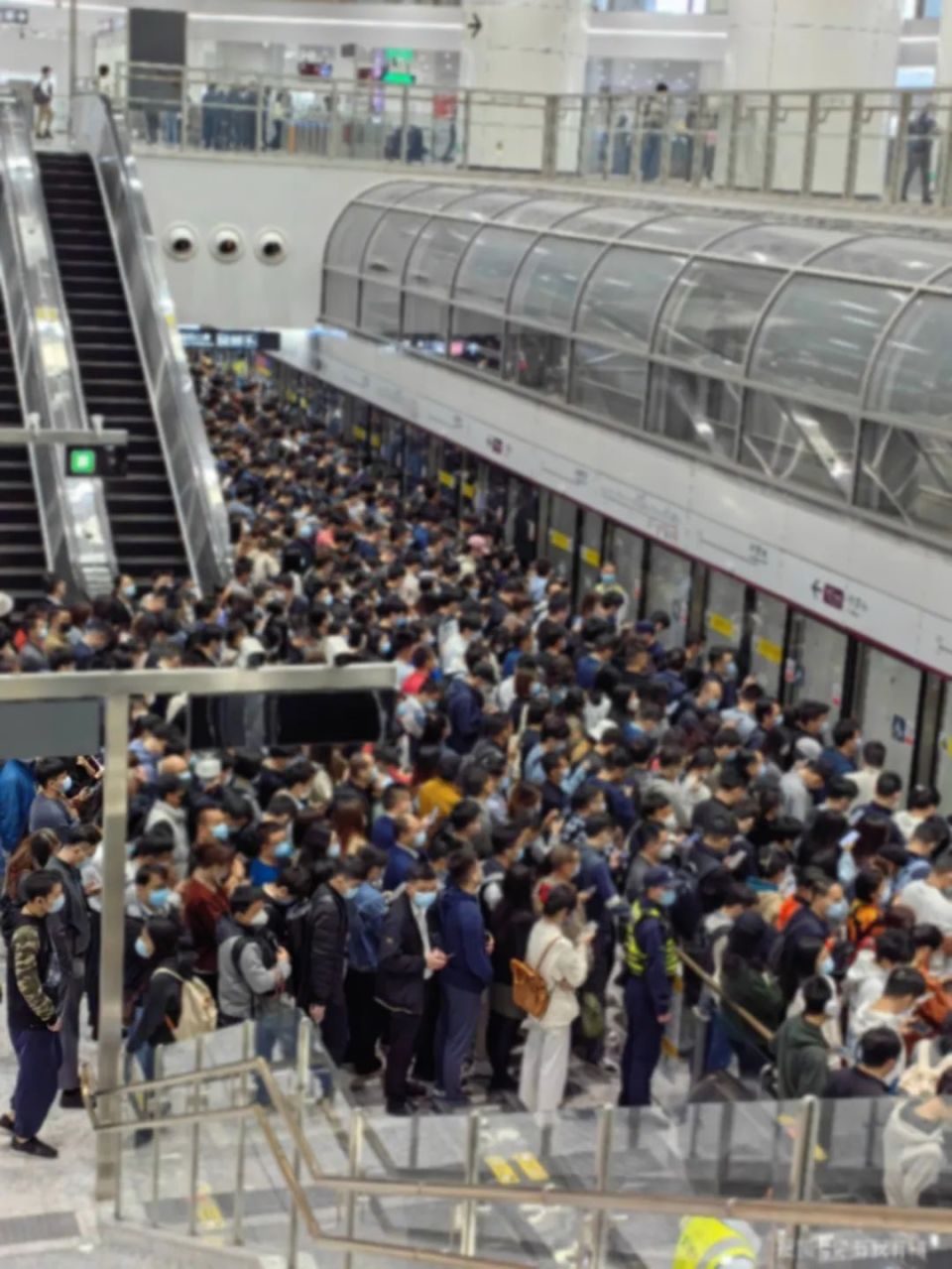 在深圳直播挤地铁的苦逼打工人,成了网红主播的新流量密码