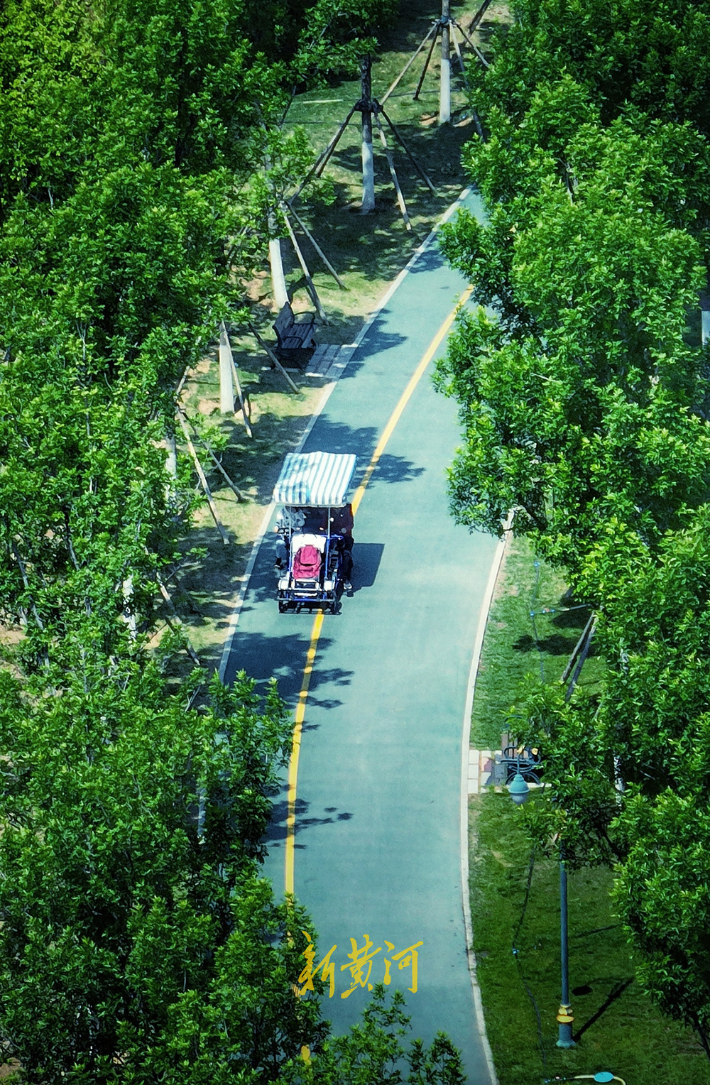 相约济钢中央森林公园,来场清新生态休闲游 |"泉"在济南过五一