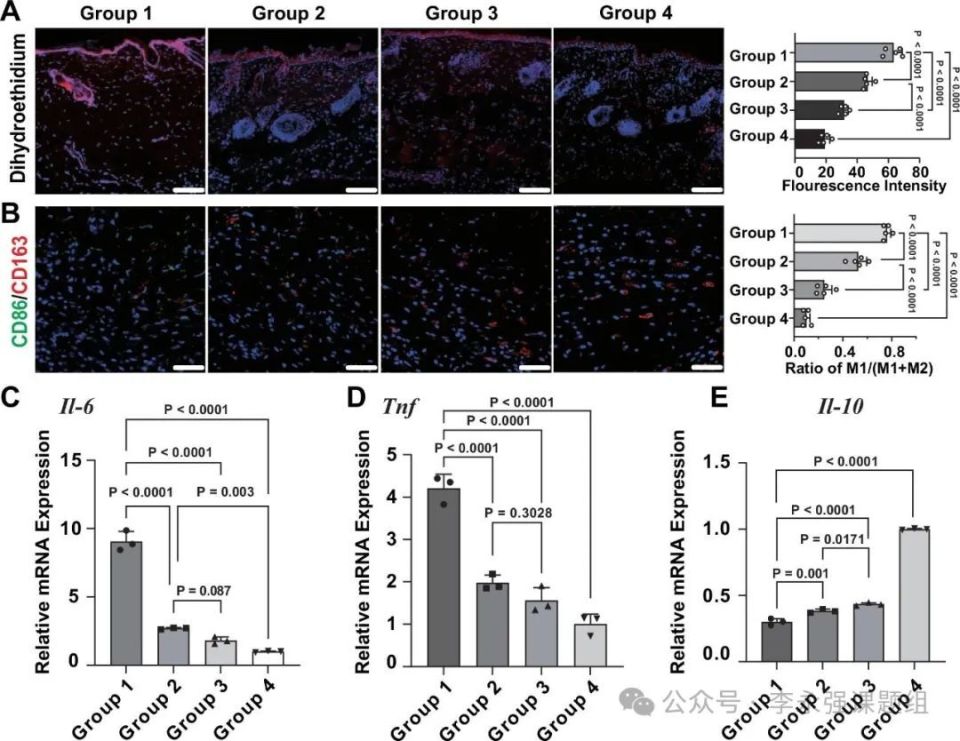水凝胶伤口敷料怎么用《自然·通讯》微环境反馈调节水凝胶作为活性伤口愈合材料！_https://www.jmylbn.com_新闻资讯_第7张