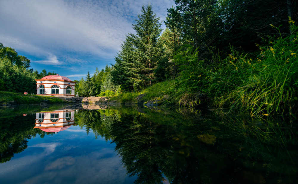 高考遇上端午,祝一举高"粽"!