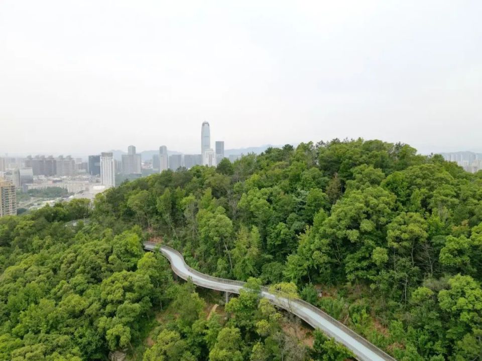 体验慢生活和城市氛围的"旅行道",不断融入市民的生活,提升椒江城市