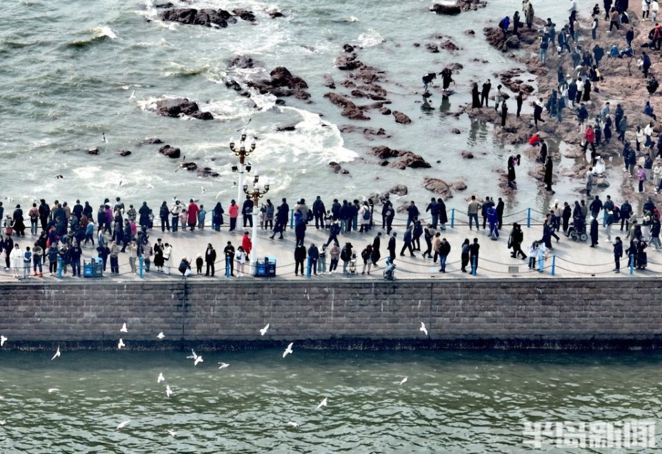3月24日,在青岛栈桥景区,大量游客和市民前来喂海鸥,浪