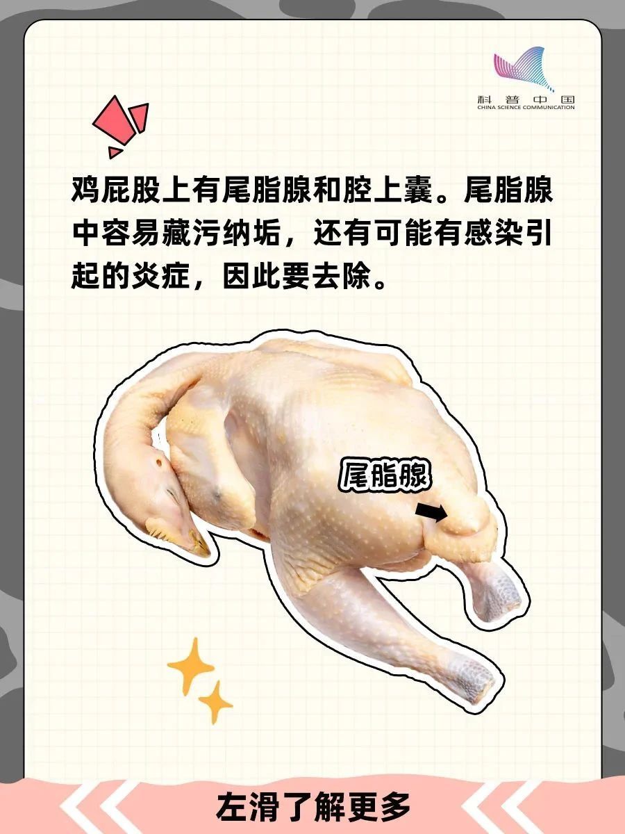 鸡的这个部位千万不能吃!很多人不知道还在吃