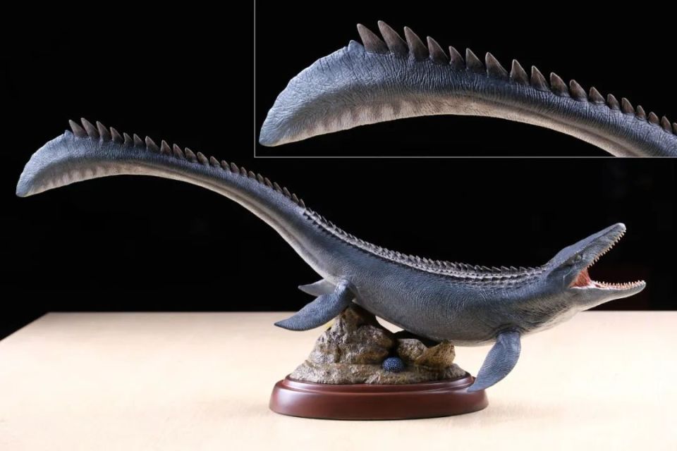 本心楠改沧龙2.0入手