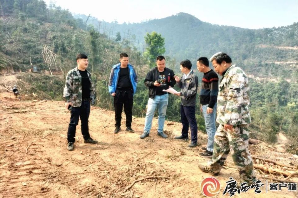 广西宁明县打架死亡图片
