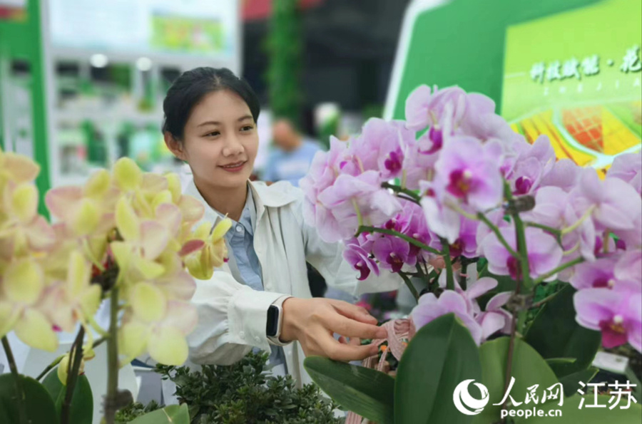 江苏沭阳女人图片