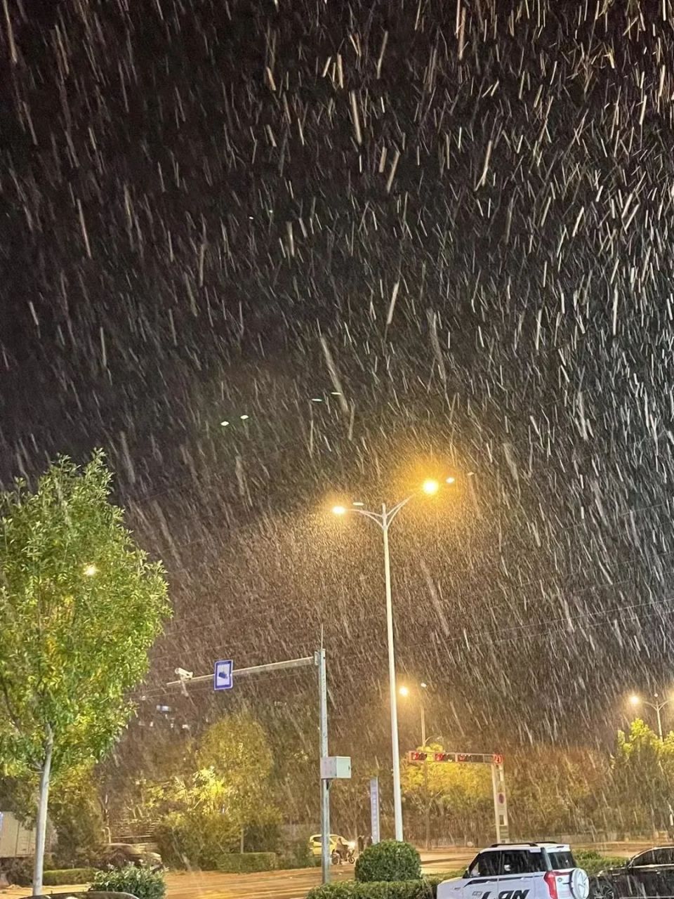 城市下雪图片真实晚上图片