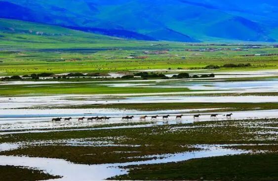 深耕市场高质量发展,助推文旅赛道加速度(二)