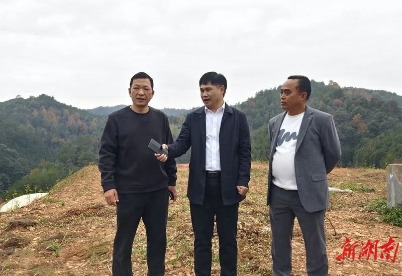 覃歇民四不两直调研企业发展和景区创建情况