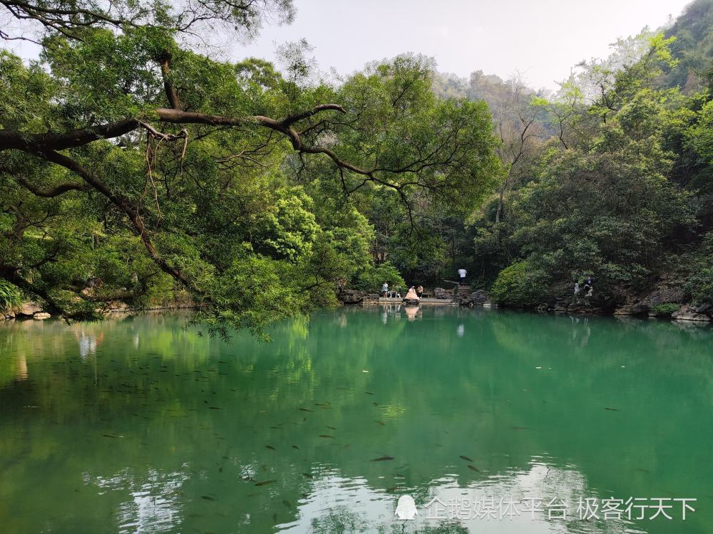 柳州龙潭景区图片