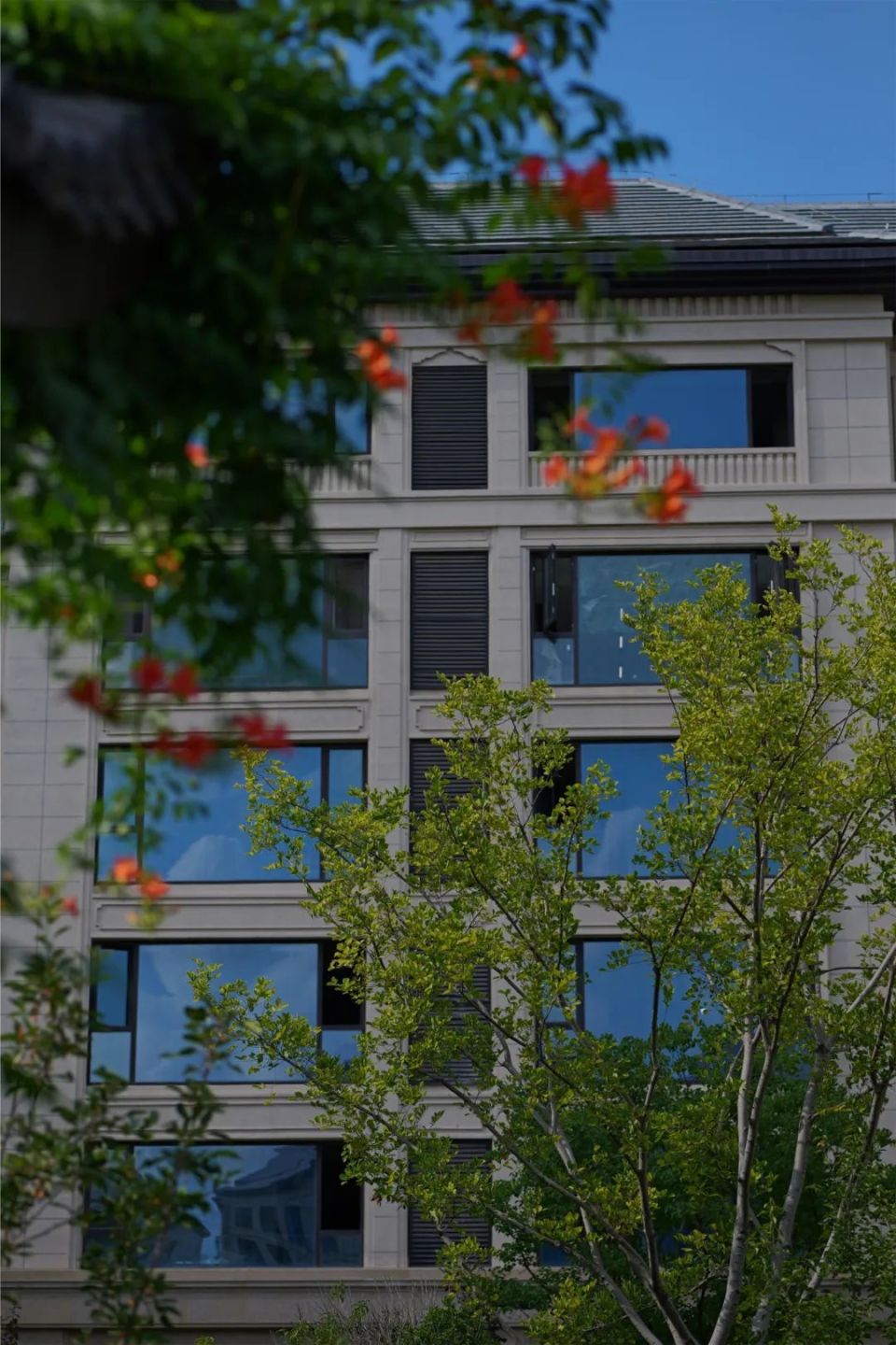 住宅都变得无比稀缺紫薇公馆集萃了多年住宅的营造大成以中式群落合院