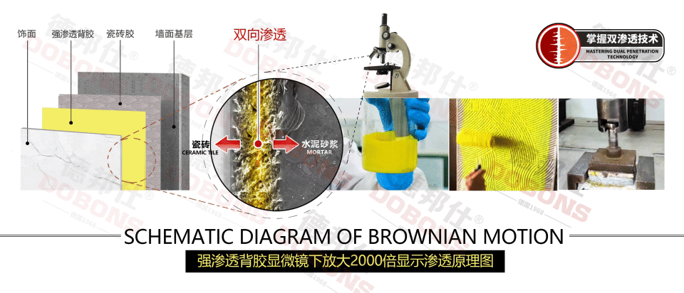 什么是强渗透膏状背胶？膏状背胶特点和优势有哪些