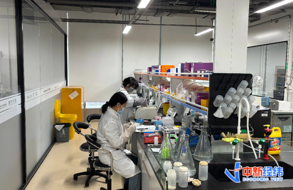 创新药板块大涨投资逻辑与益方生物估值可持续性分析