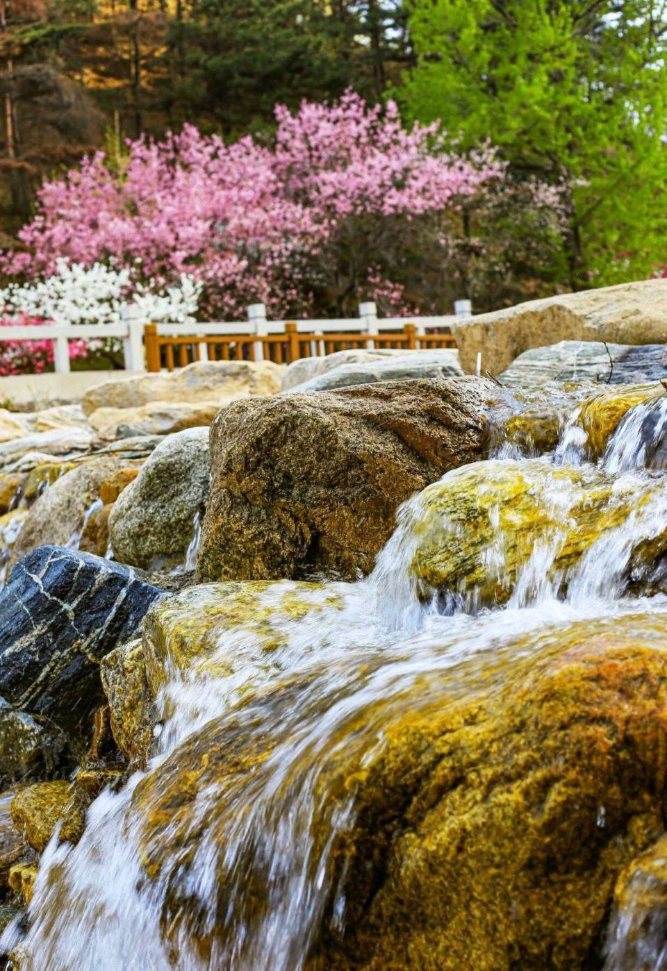 组图丨如入仙境 雨后泰山彩石溪赏心悦目