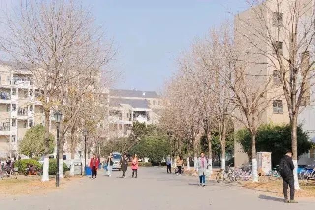 聊聊中國藥科大學宿舍環境怎麼樣宿舍是幾人間有空調嗎