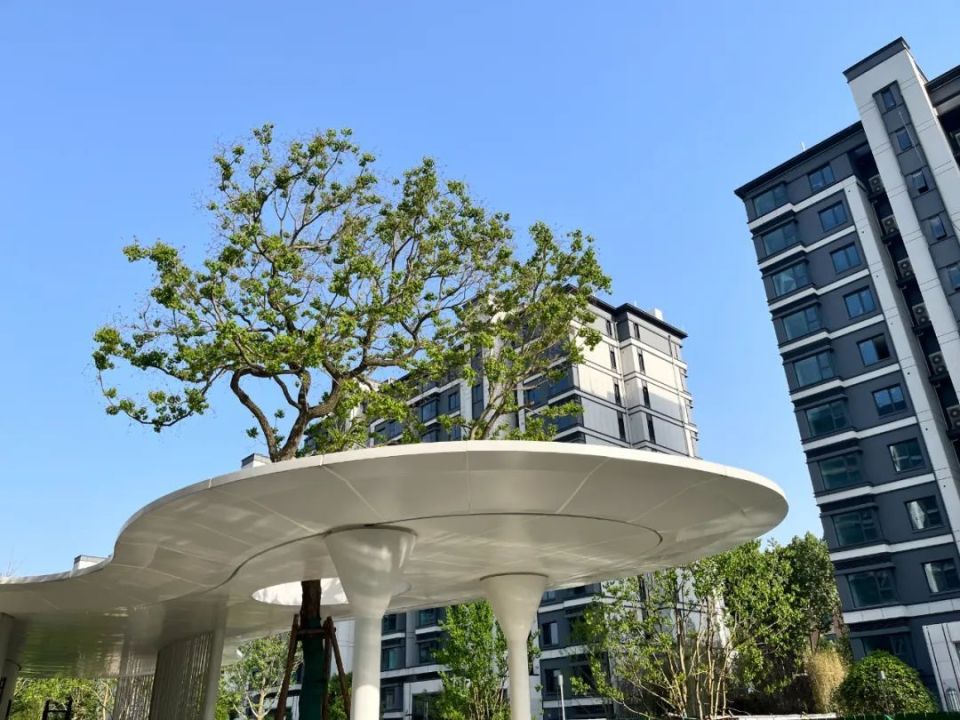 开发商掏腰包!城东这个改善小区,升级进行时