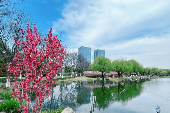 春日"沪"水游丨青浦:湖畔春色别样浓——夏阳湖_腾讯新闻