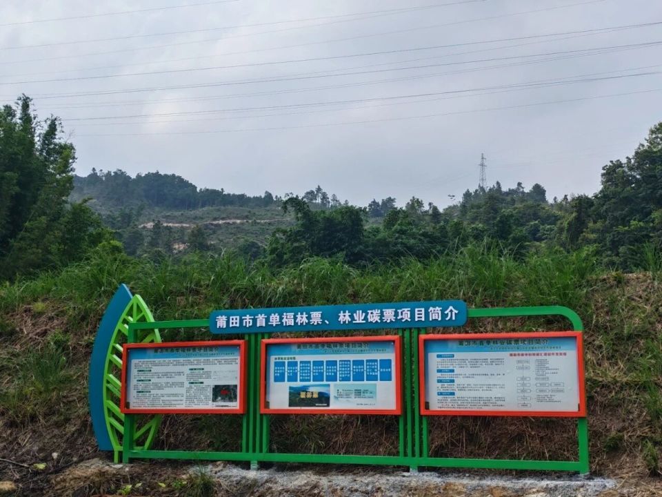 福林票现场.jpg