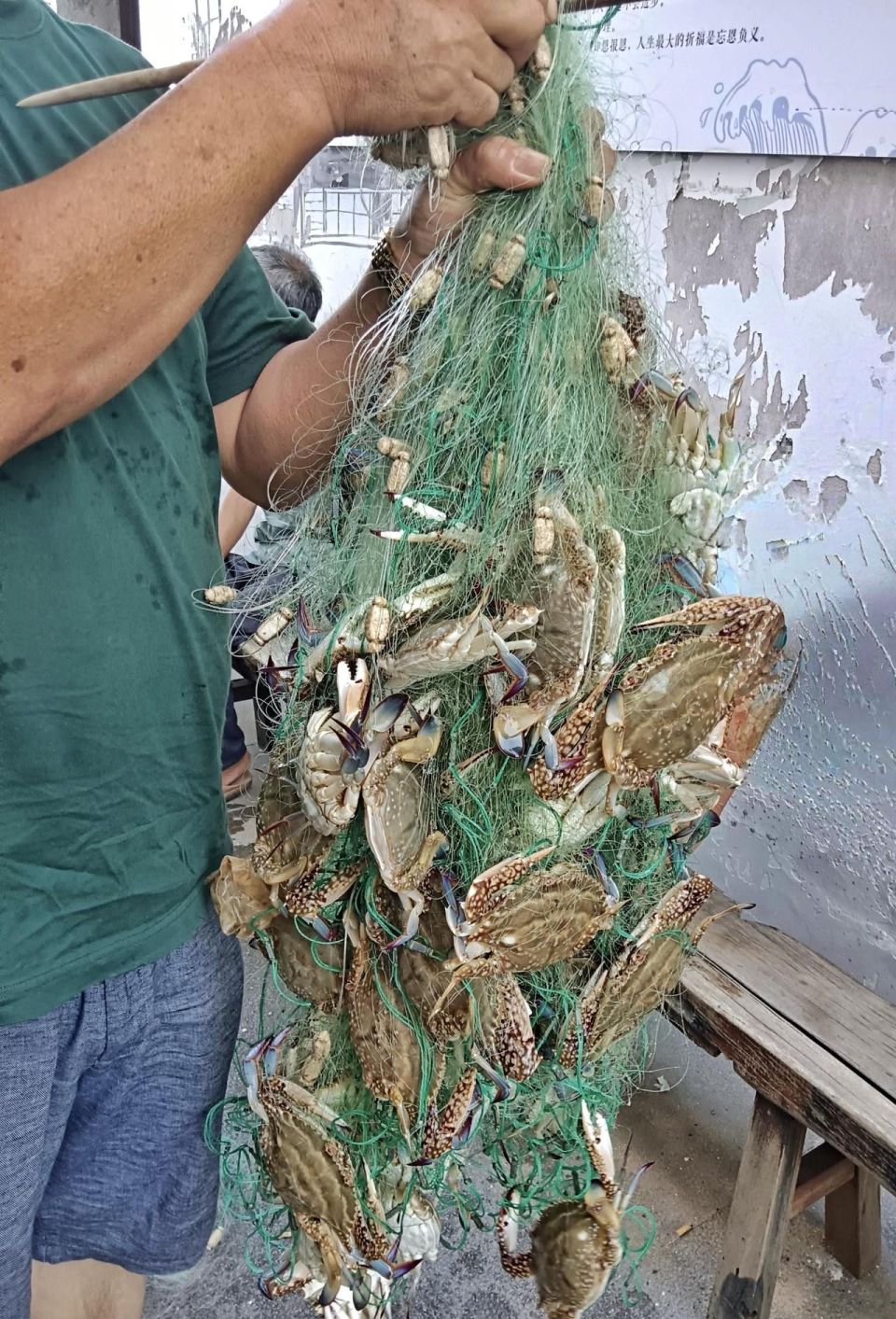 吴立高 摄当天梭子蟹每斤尝鲜价60-70元,青蟹每斤160元左右,铜盆鱼