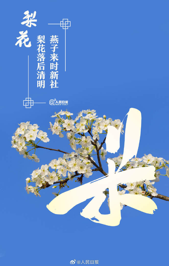 当汉字与春天不期而遇时,我知道改换手机屏保了