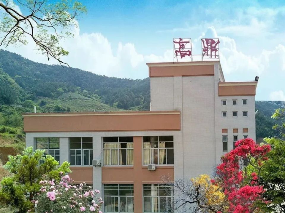 【遇见春茶】高鼎茶庄园:享受美景与香茗的双重治愈