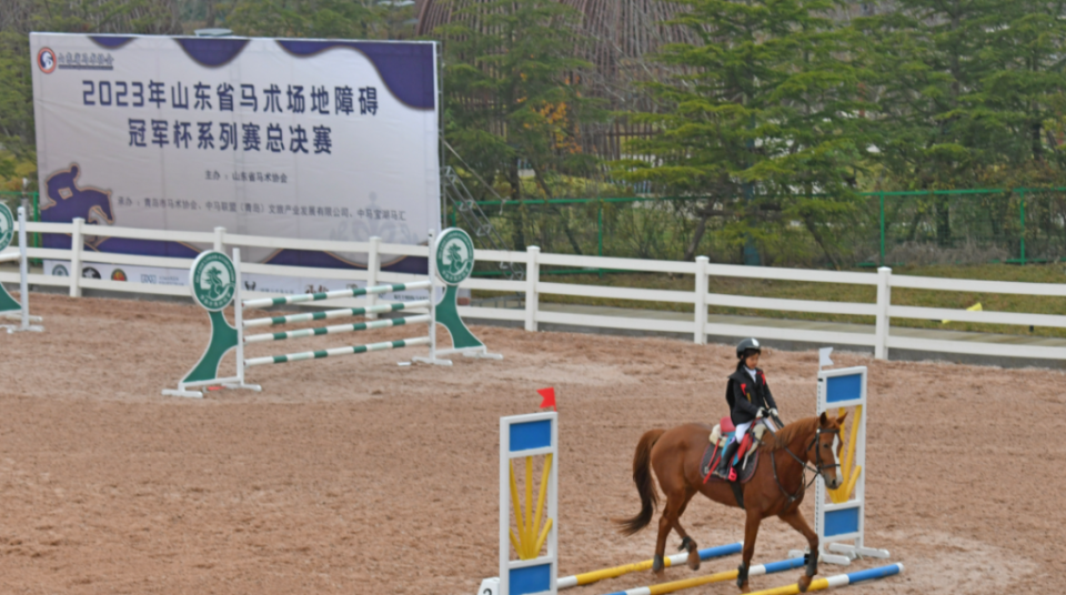 策马奔腾2023年山东省马术场地障碍冠军杯系列赛总决赛圆满落幕