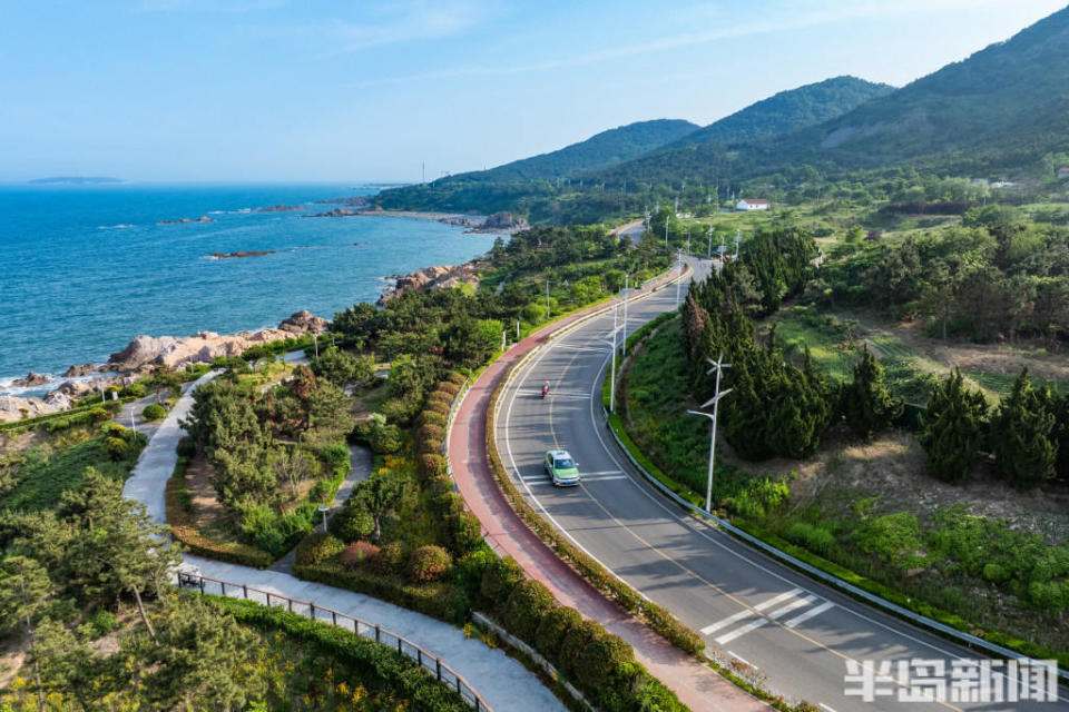 依山傍海,绿意盎然!青岛这条环岛路美了美了