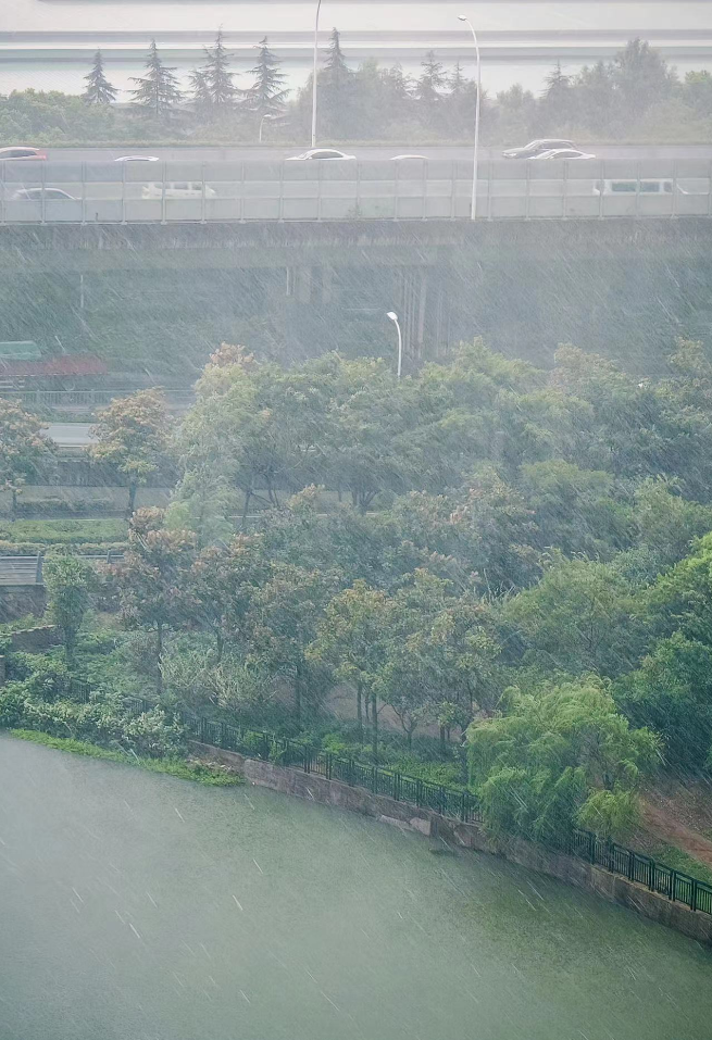 今天的雨下得太"全面"了~锡澄宜"雨露均沾"