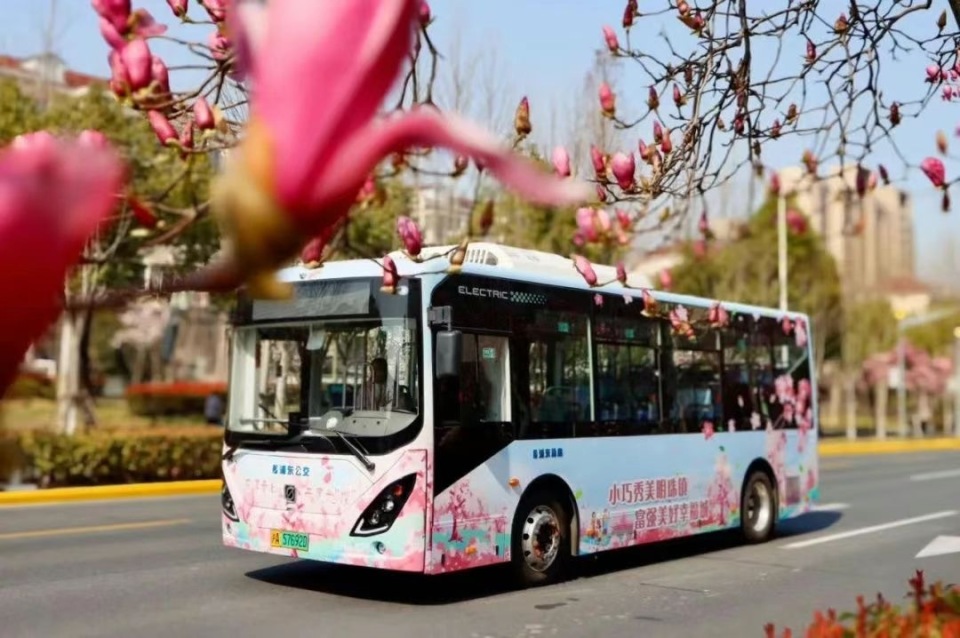 开启一场浪漫赏花之旅上海浦东这条樱花限定公交车来了