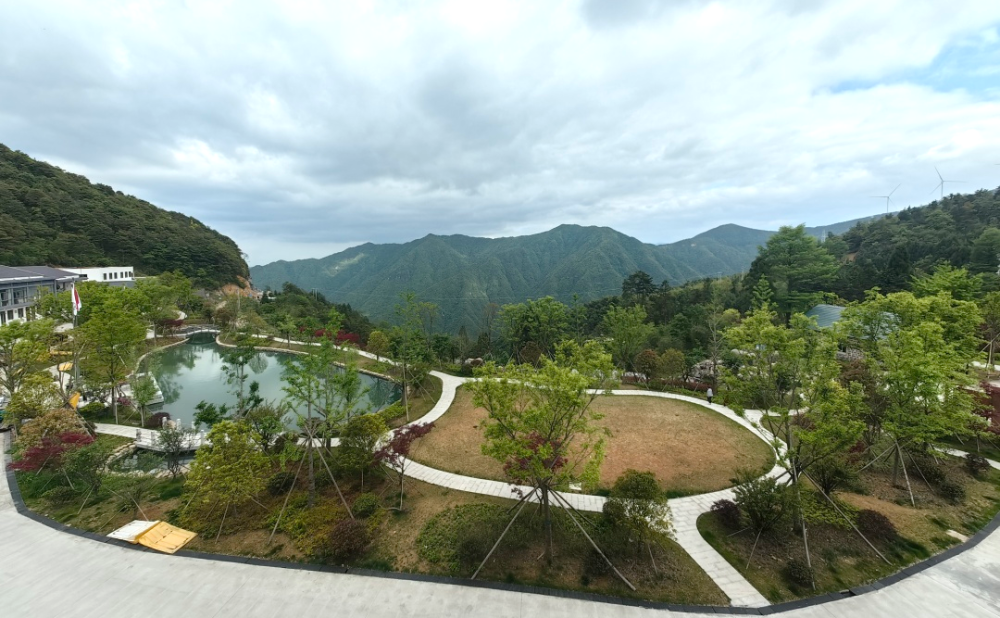 台州大寺基林场首迎改造