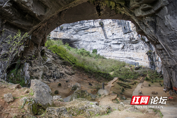 寻景记 | 道县"月岩":山外春光明媚,山内别有洞天_腾讯新闻