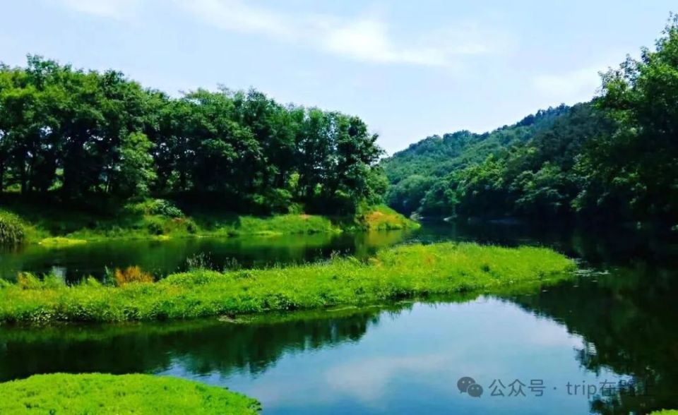 宁波版"绿野仙踪",太美了,在这里赏景,人生就不"卷"了