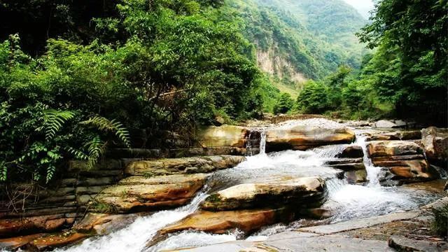 奢香故里 古彝圣地 美丽大方系列报道之八:神秘油杉河那些不为人知的