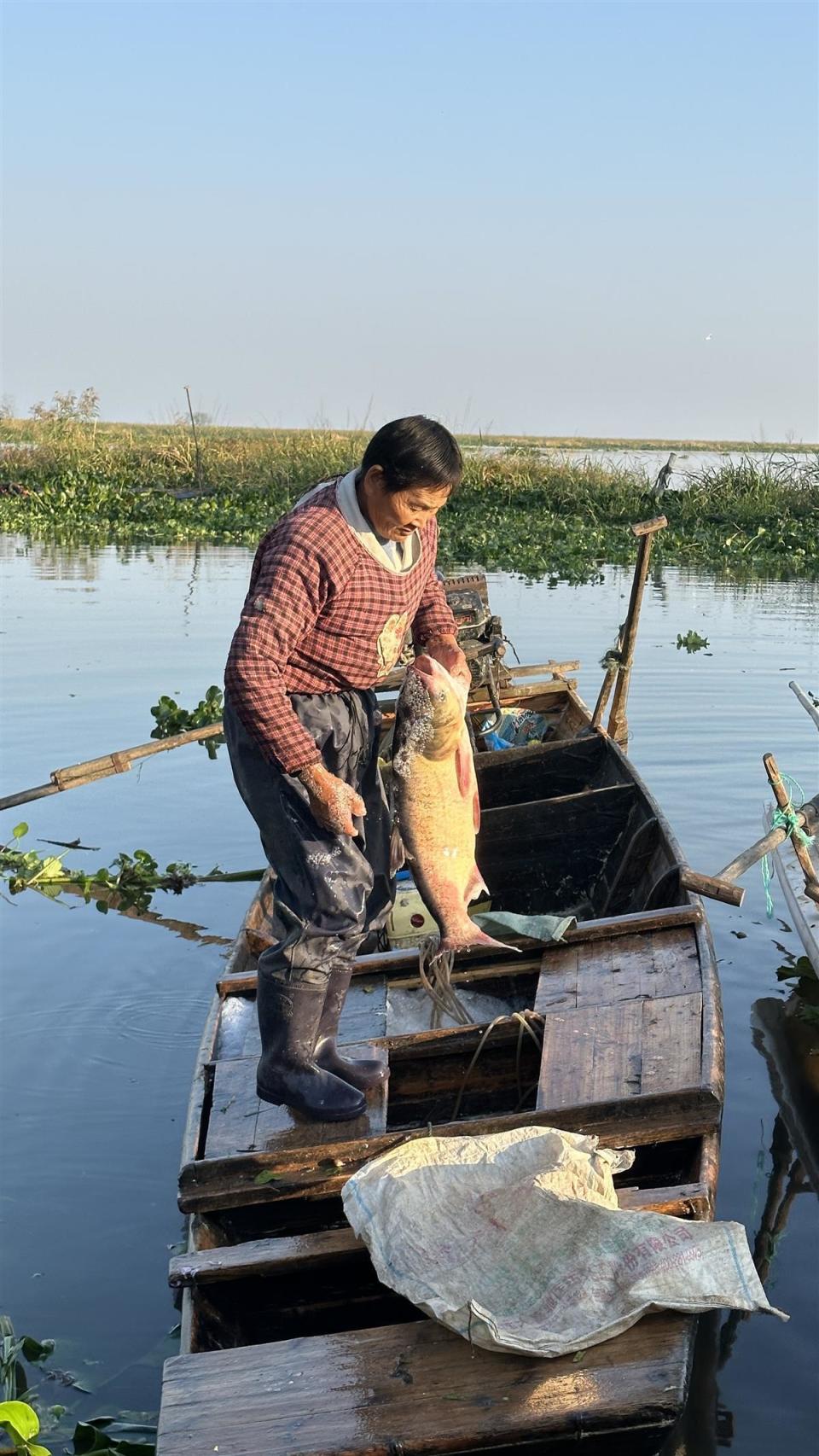 湖北咸宁伍家缺码头渔民丰收忙