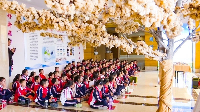 高新区(新市区):科技赋能彩棉经济圈出"彩"