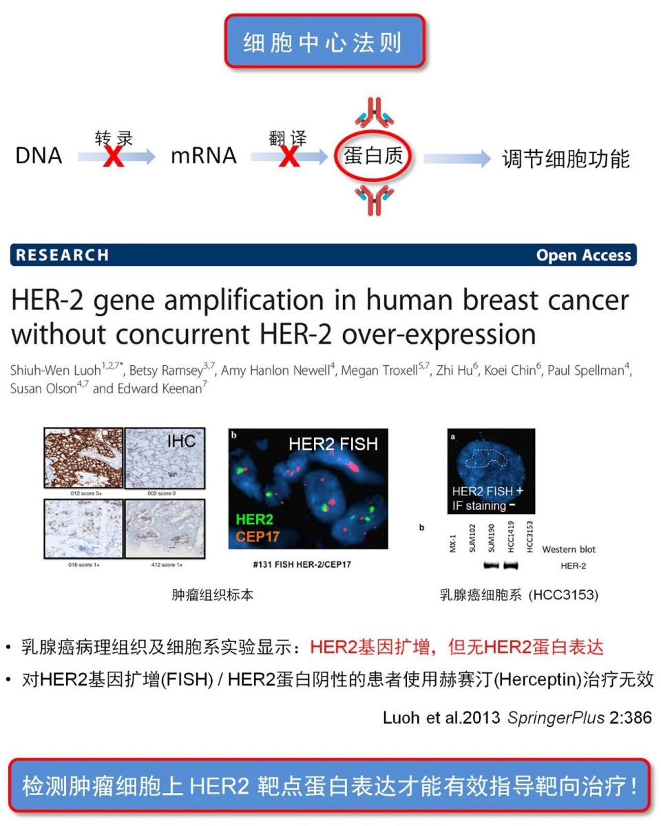 CTC、CTEC 2.0的临床应用及 i•FISH精准靶向单细胞蛋白质组学等多模态研究_腾讯新闻