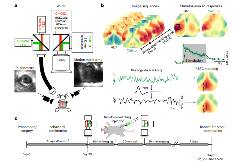动物怎么测血氧Nat Neurosci：致幻剂如何欺骗大脑的血氧信号？华盛顿大学团队揭示其通过解耦神经血管耦合欺骗大脑的机制​_https://www.jmylbn.com_新闻资讯_第3张