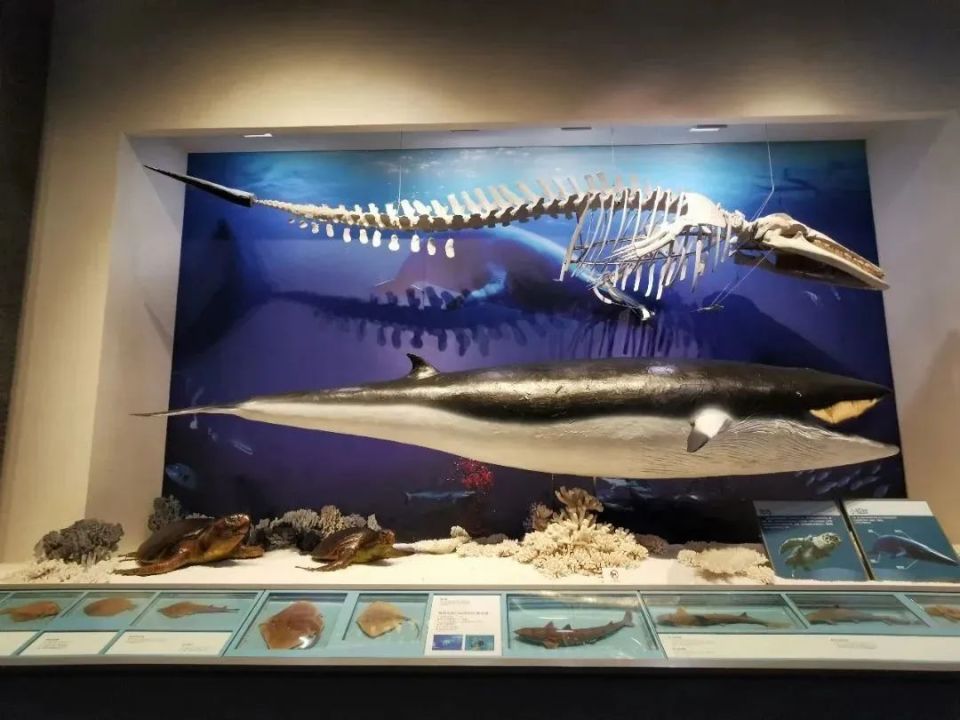 馆有货物吞吐量全球第一的舟山港宁波作为世界第一大港口城市动手实验