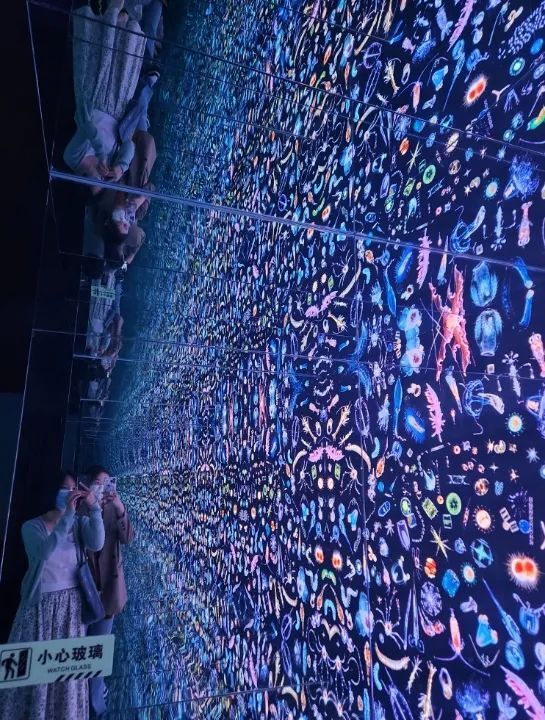 滨"嗨"一夏!向海乐活节200余场活动精彩纷呈