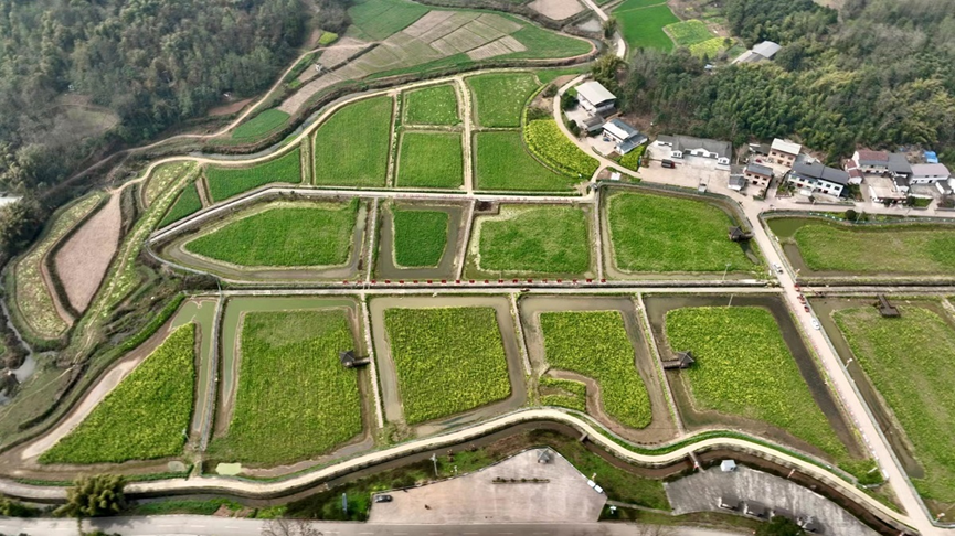 北川:以现代农业园区建设助推乡村振兴高质量发展_腾讯新闻