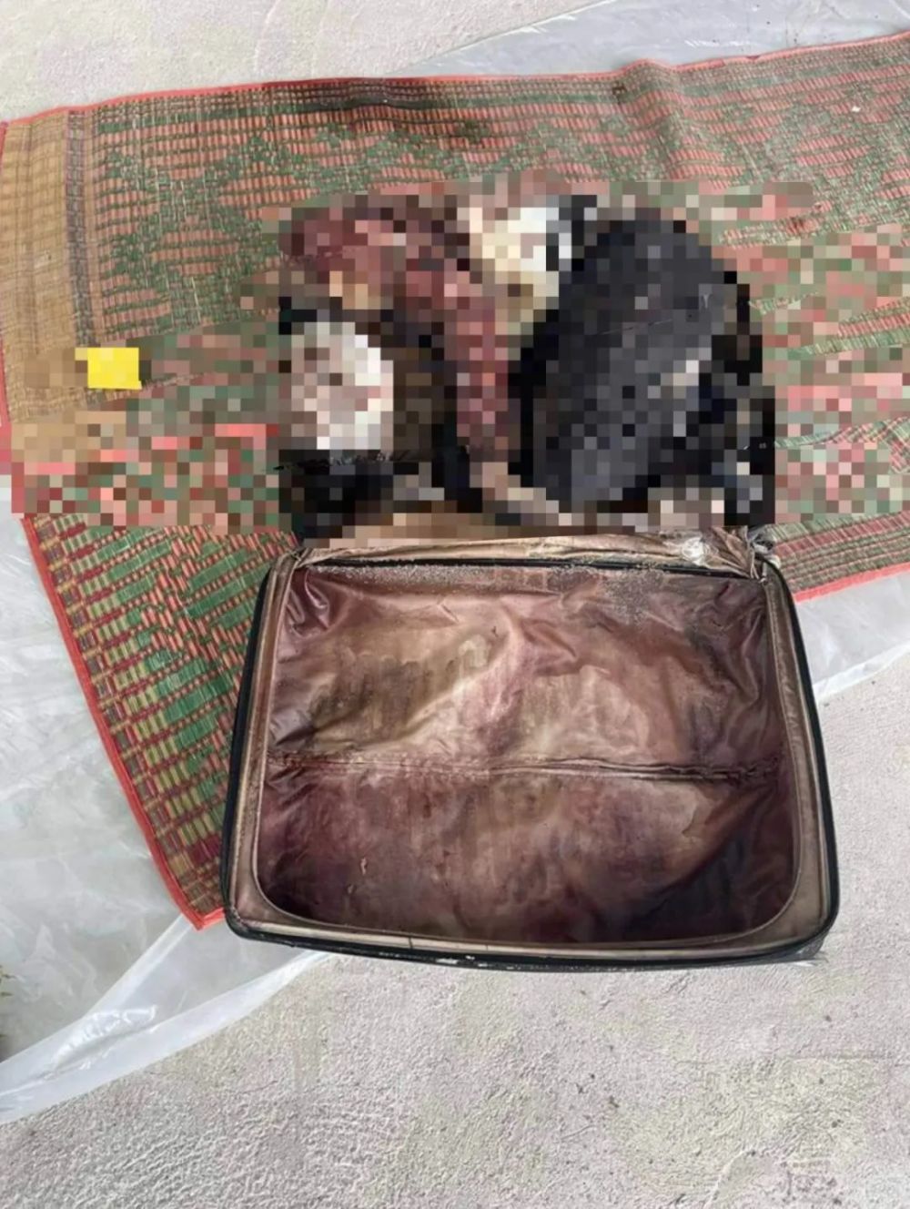 皮箱藏尸案受害者照片图片