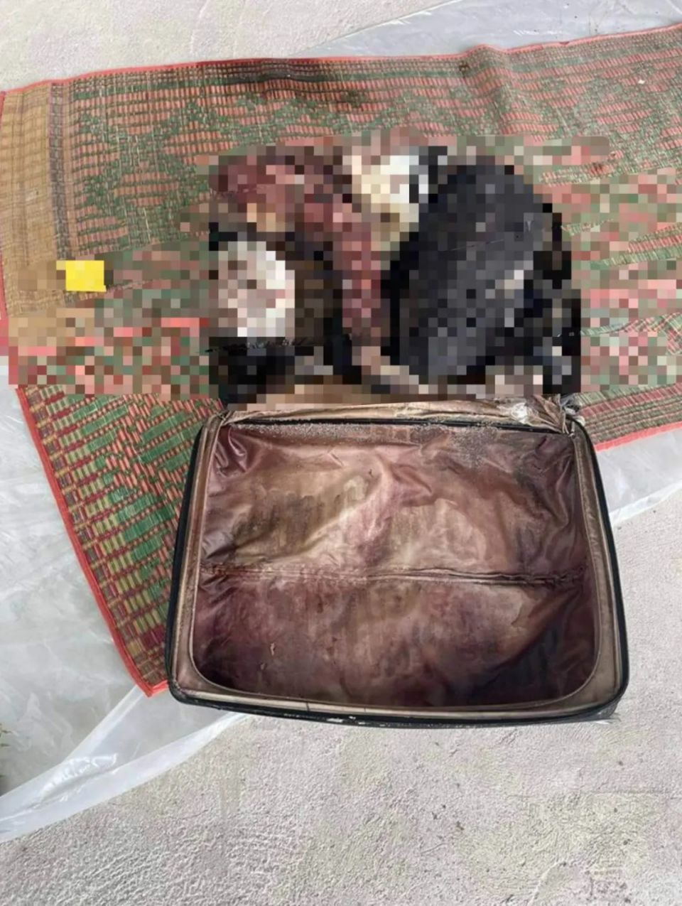 柬警方侦破行李箱藏尸案,死者生前遭受非人虐待,脸被胶带封住